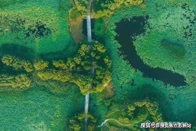 5楼盘评测-鹿溪雅园售楼中心详情户型 小区配套z6尊龙·中国网站鹿溪雅园售楼处欢迎您 202(图34)